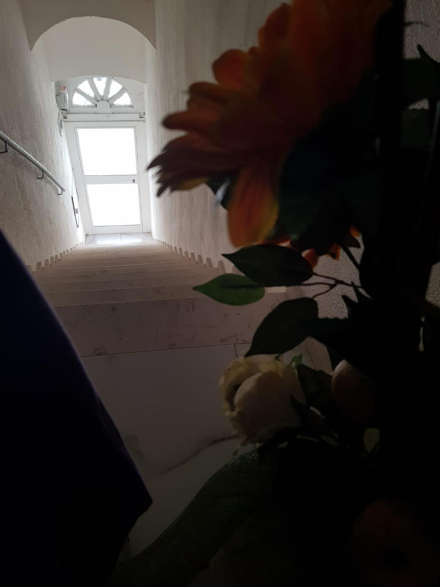 Di Fronzo Guest House T Triggiano Eksteriør bilde